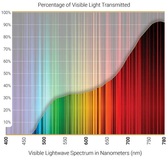 Cocoons Yellow Polarized